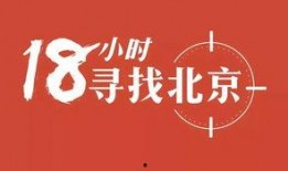 东子直播爆料最新消息,揭秘行业动态与热点事件