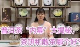 喝茶爆料最新视频大全,喝茶爆料最新视频大盘点